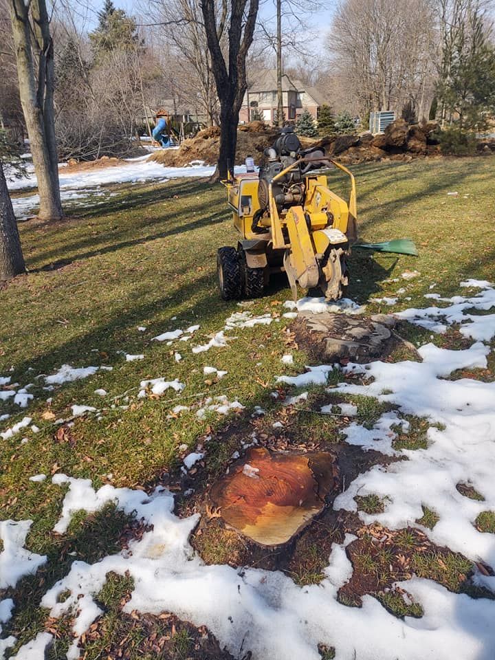 Yellow stump grinder grinding a tree stump in a grassy, partially snow-covered yard.