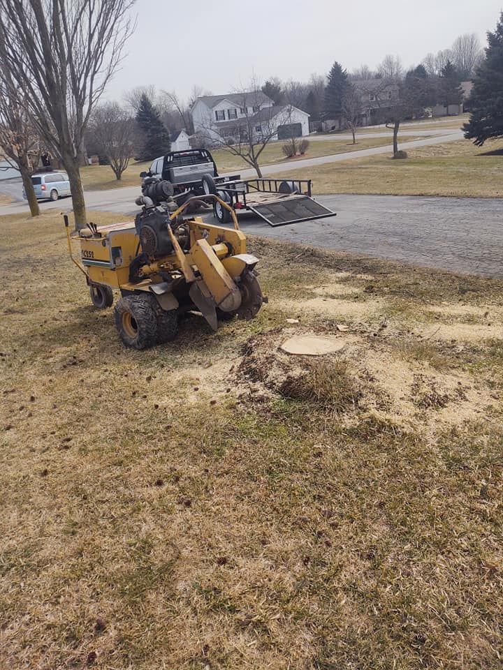 Yellow stump grinder grinding a tree stump in a yard, with truck and trailer in background.