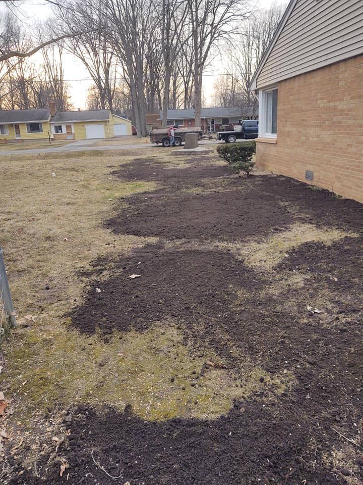 Lawn with patches of dark soil, next to a brick house. Trees and other houses are in the background.