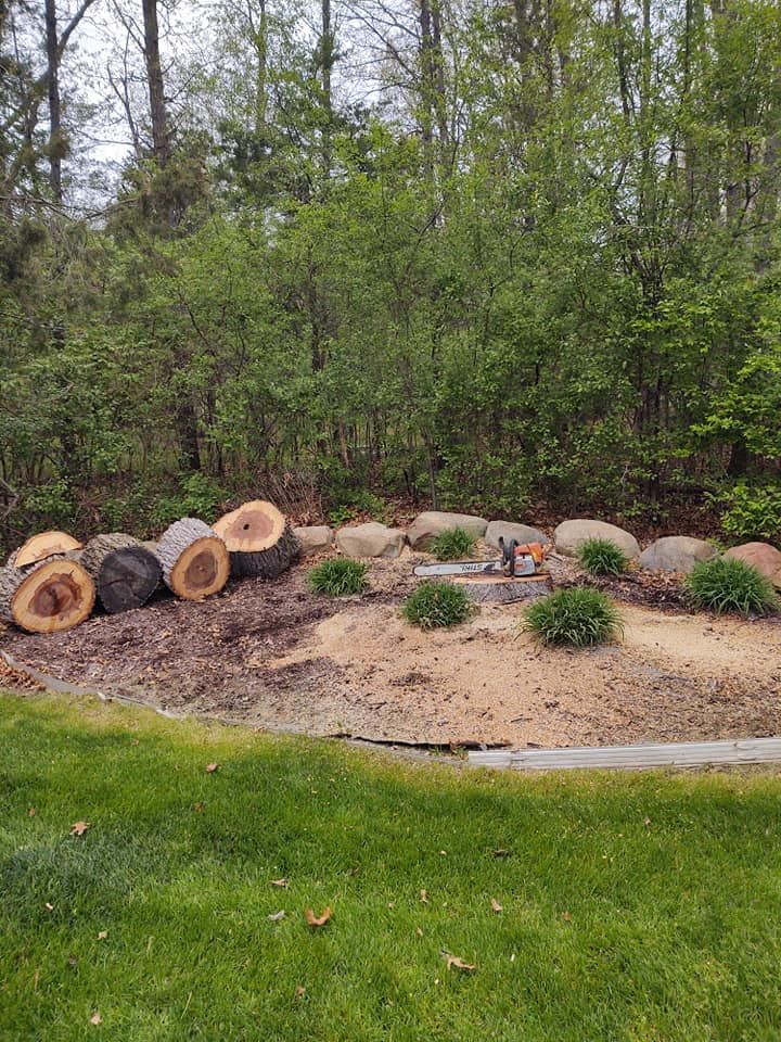 Logs and cut branches near a garden bed, with bushes, rocks, and green grass. Forest background.