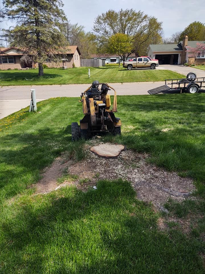 A stump grinder in a yard, grinding a tree stump.  A trailer and truck are in the background. Green grass and sunny day.