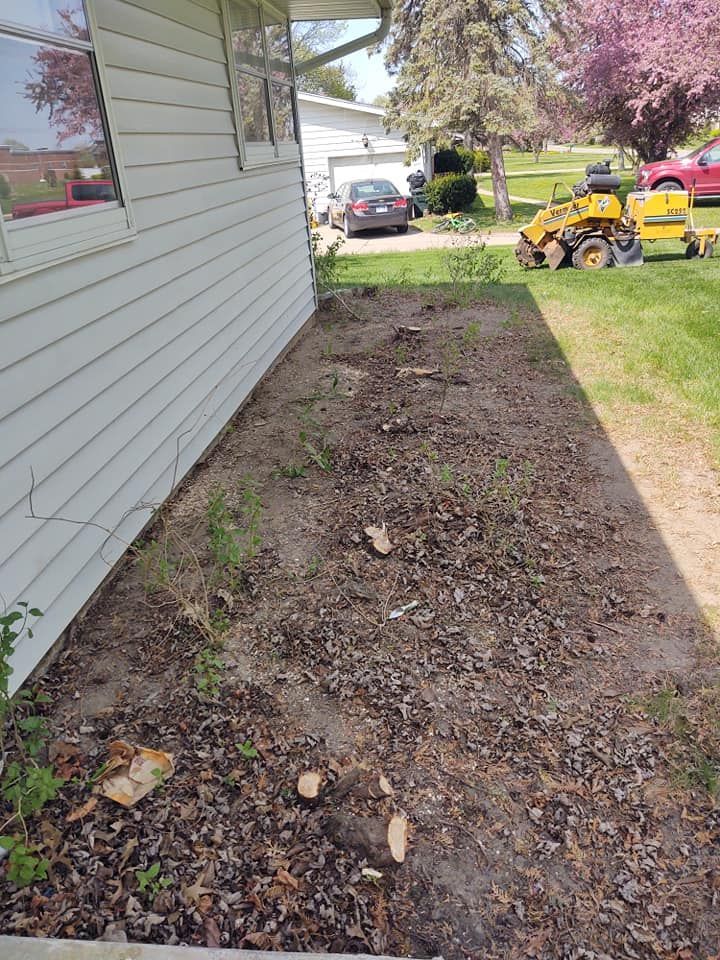 Side yard with bare soil, tree stumps, and a stump grinder. House to the left, lawn to the right.