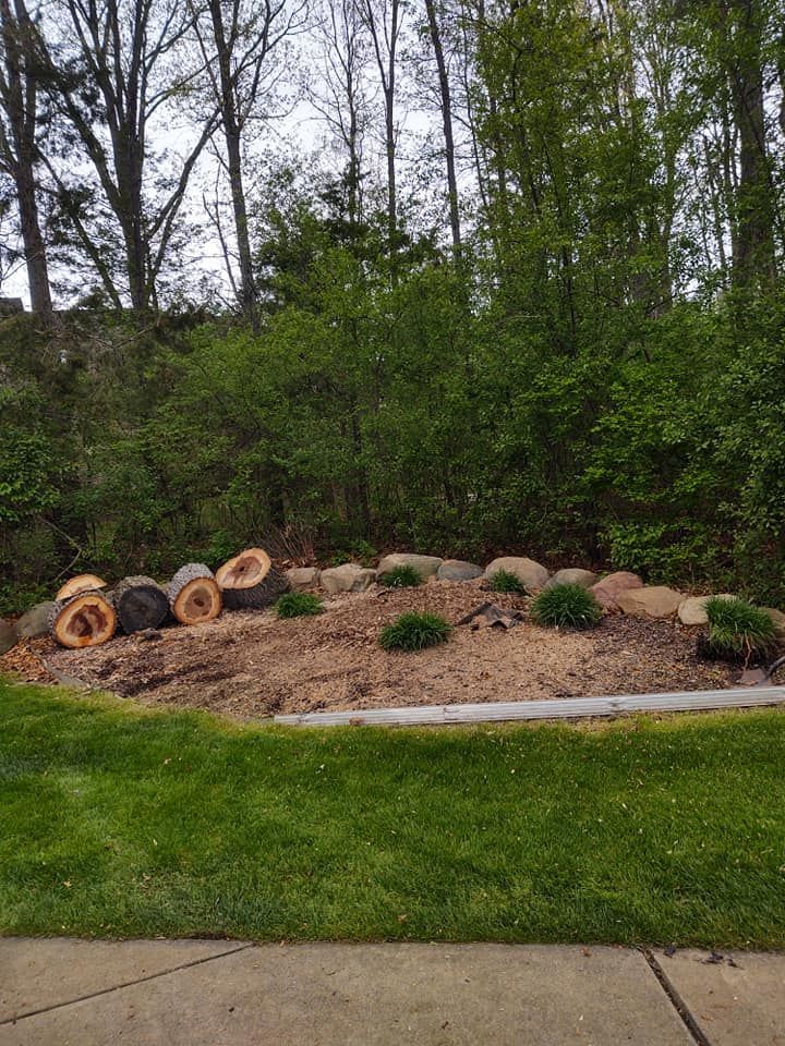 Landscaped garden bed with logs, rocks, and small plants against a backdrop of trees.