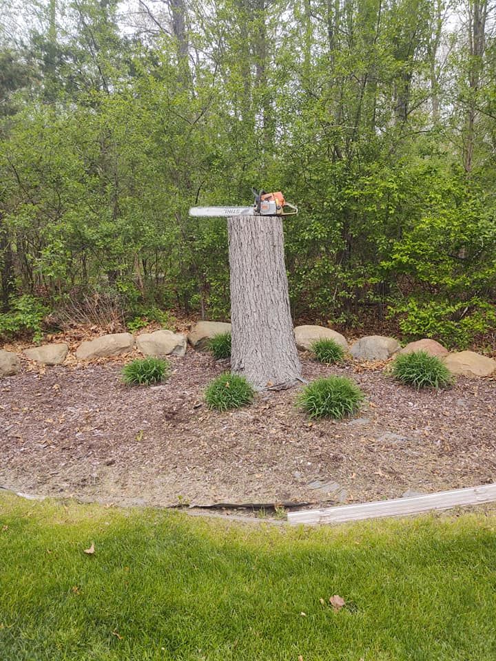 Chainsaw rests on a tree stump in a garden bed with bushes. Green grass and trees are in the background.