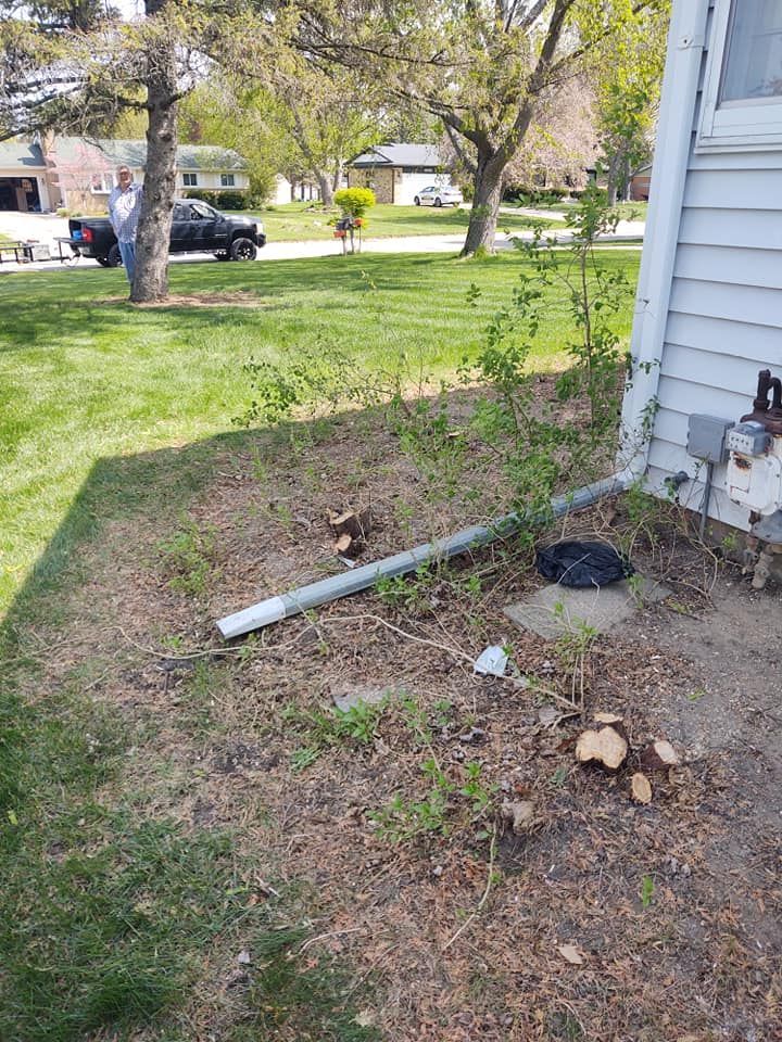 A residential yard with grass, a white house, and a person standing by a tree. Mushrooms grow near a downspout.