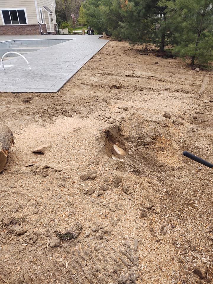 Construction site with a pool, dirt, and a tree stump.