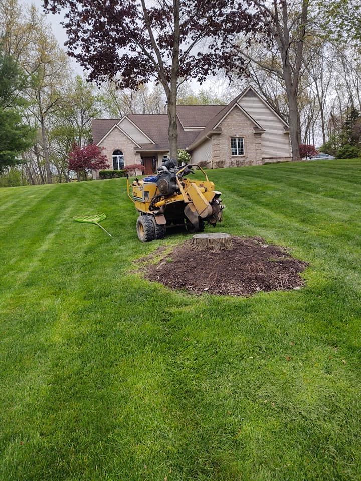 A stump grinder removes a tree stump on a green lawn in front of a house.