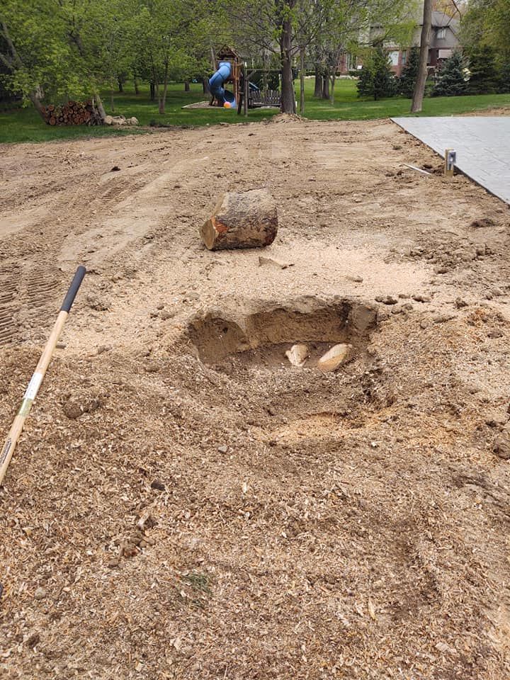 Hole dug in dirt, with a log and shovel. Pathway and trees in background.