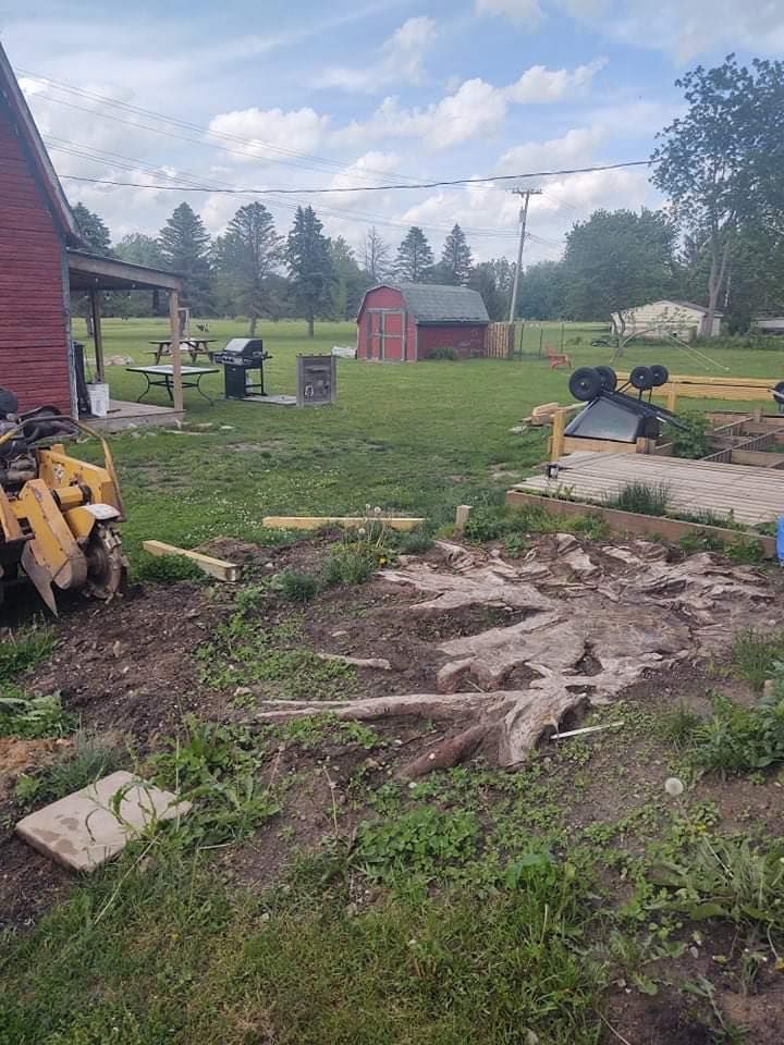 Backyard with red barn, yard debris, trees, grill, and shed on a cloudy day.