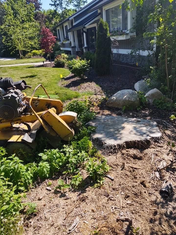 Yellow stump grinder next to a freshly ground tree stump in front of a house.