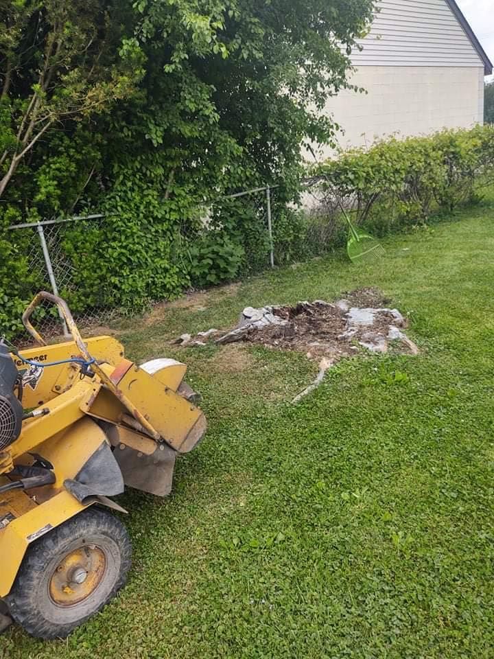 A tree stump has been ground down next to a chain-link fence and green lawn; a stump grinder sits nearby.