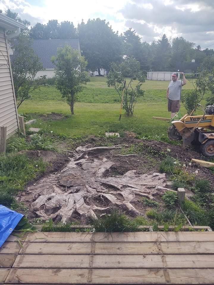 Person standing near tree roots in a cleared area with a house and trees in the background.