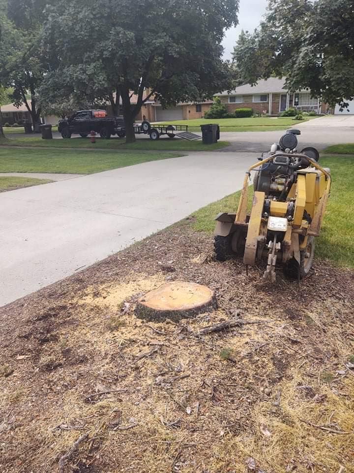 Stump grinder next to a tree stump on a grassy verge, suburban street.