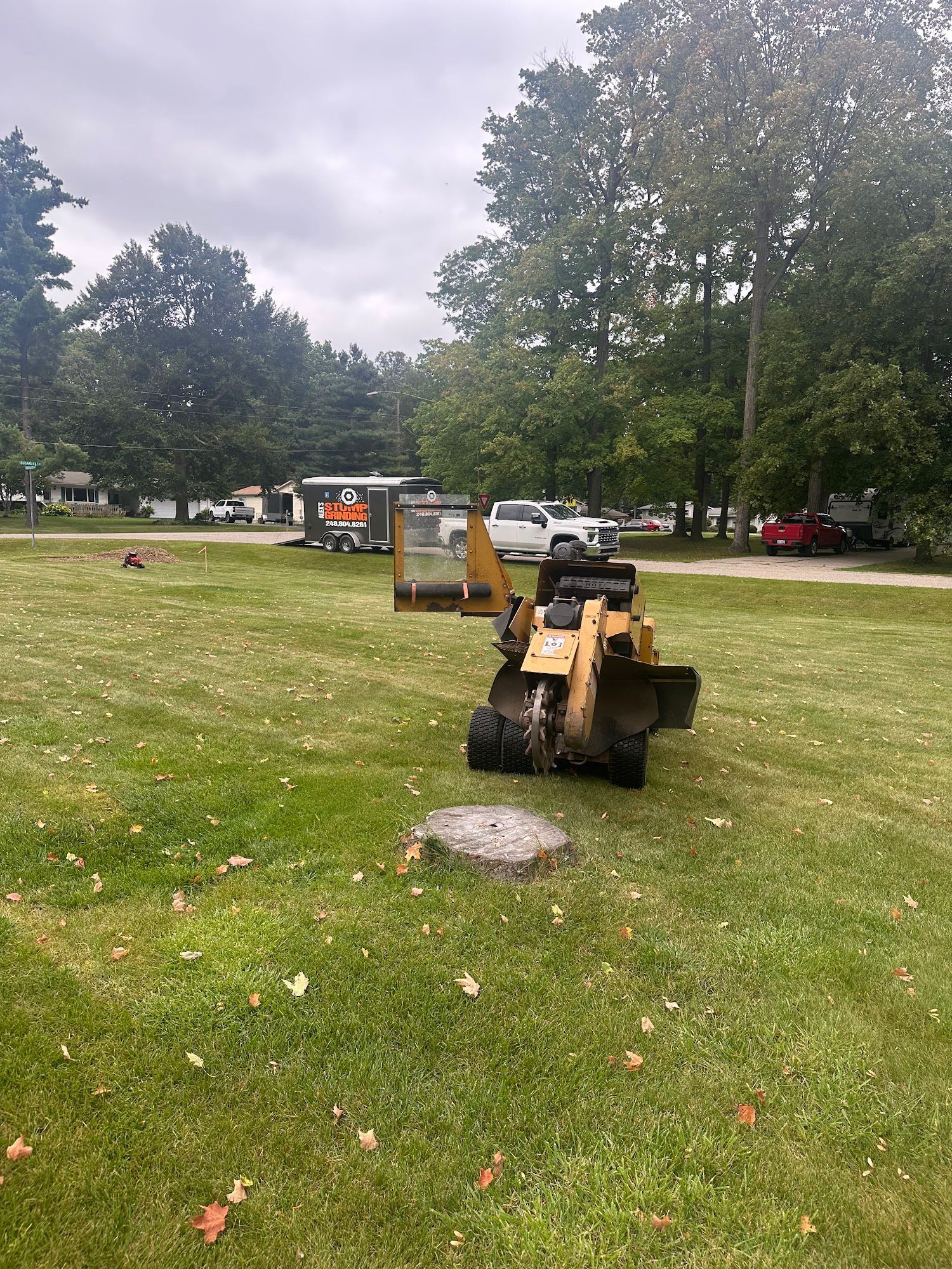 A yellow stump grinder working on a tree stump in a grassy yard. Houses and trees are in the background.