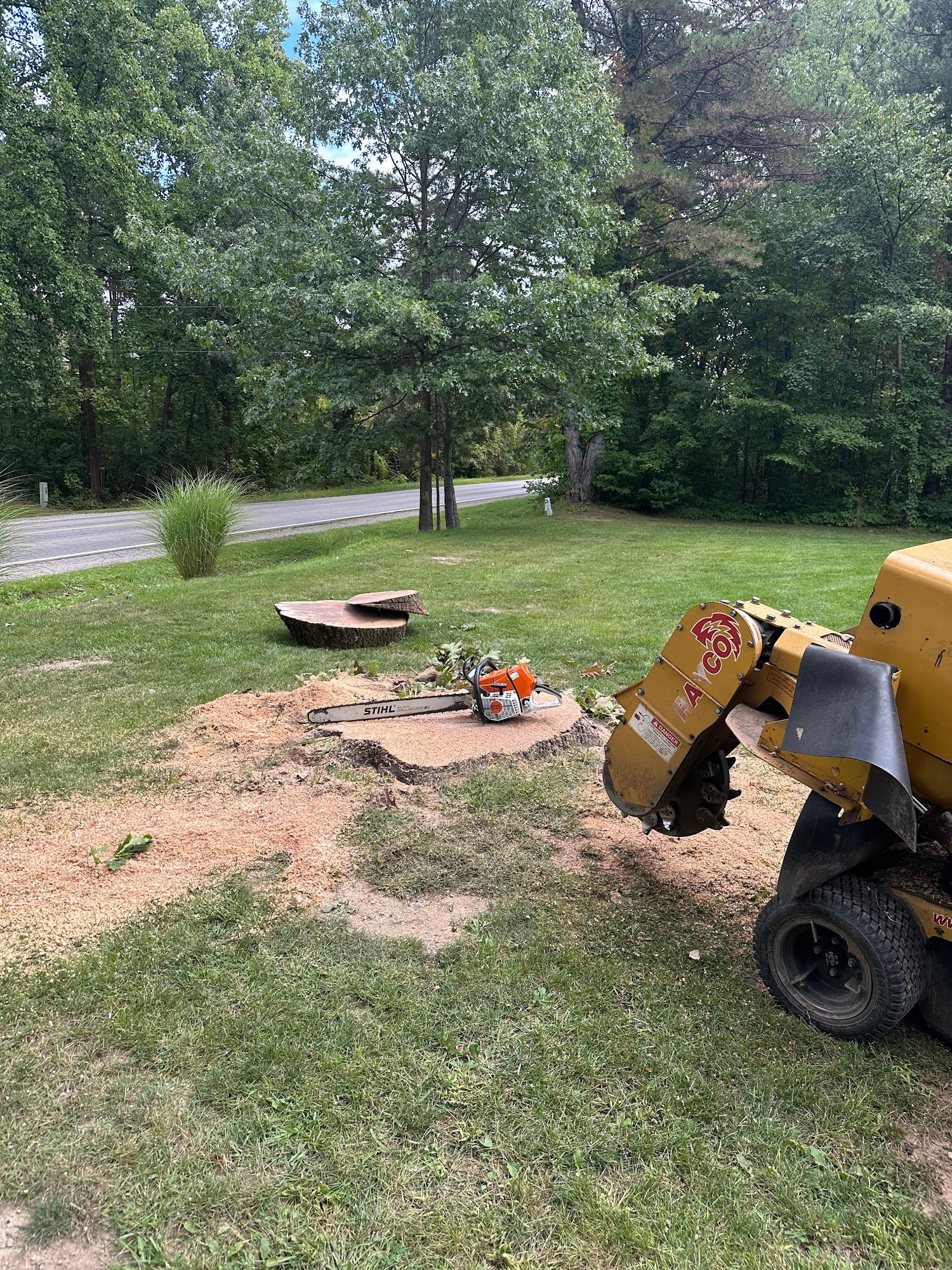 Stump grinder grinding down a tree stump in a grassy yard, surrounded by dirt and trees.