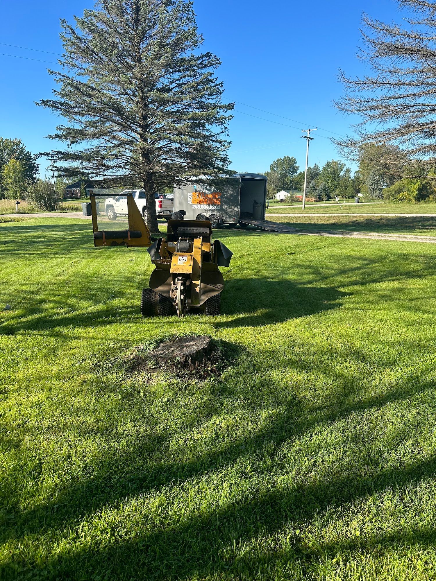Stump grinder in a grassy yard, grinding a tree stump. A shed and trees are in the background.