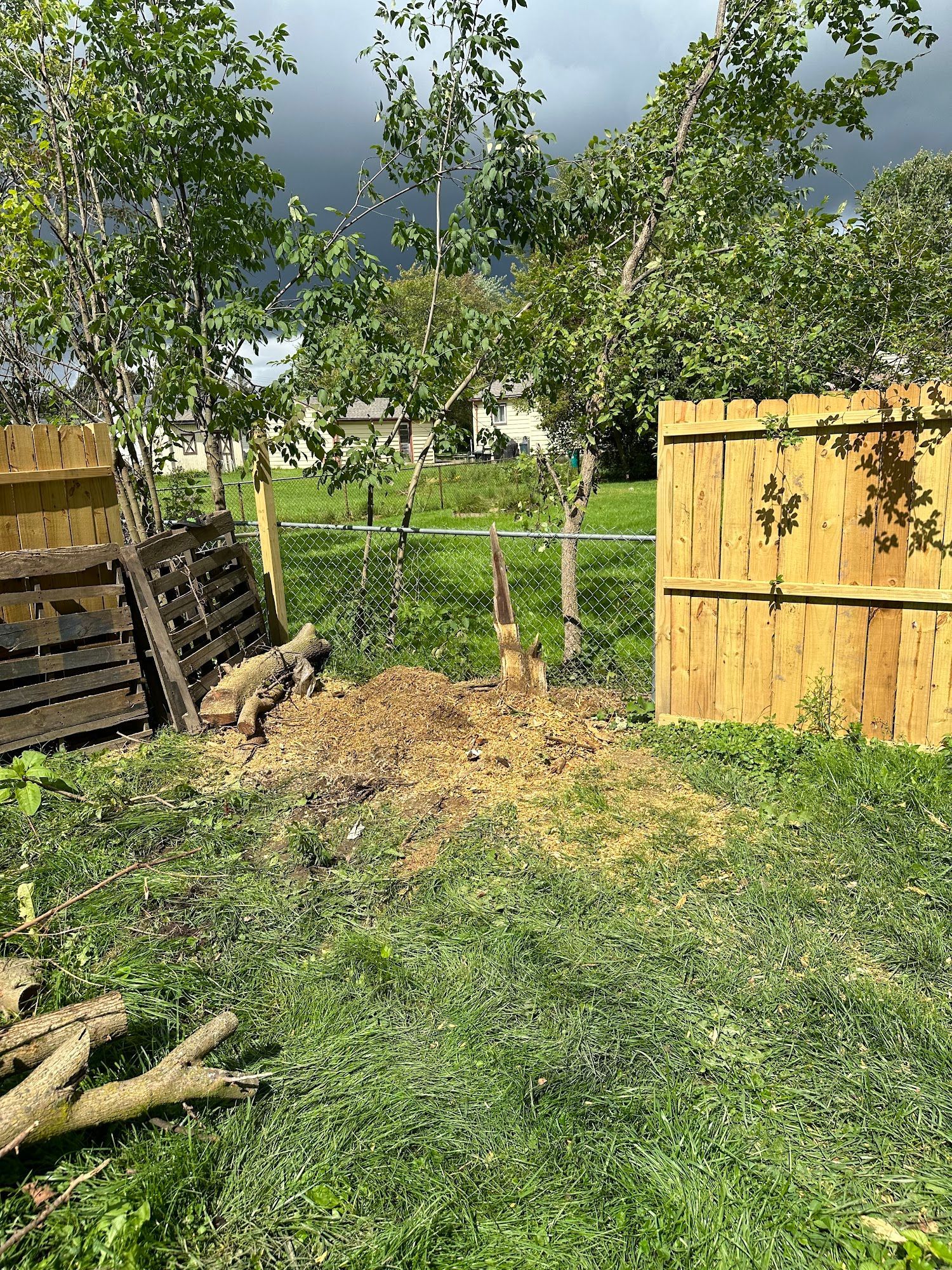 A dirt patch surrounded by grass, flanked by wooden fences and trees. A cloudy sky looms in the background.