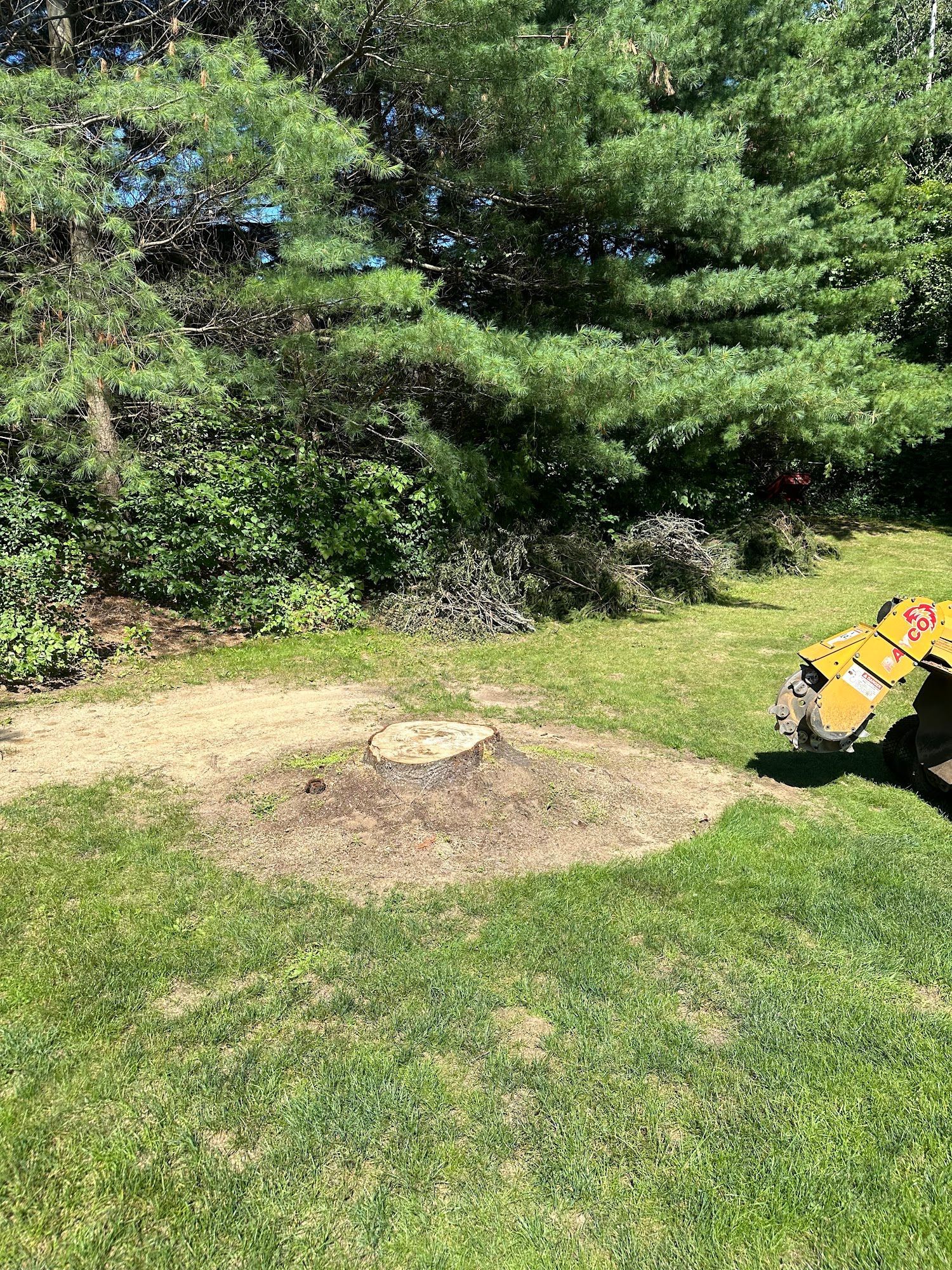 A tree stump in a grassy yard, near a pile of branches and a stump grinder.