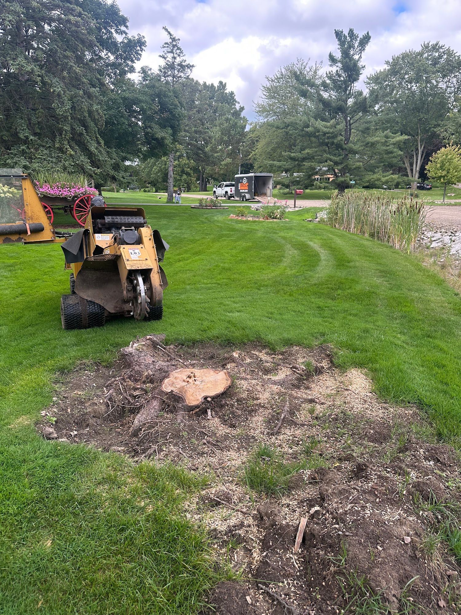 Stump grinder next to freshly ground tree stump in a grassy area with trees and a truck in the distance.