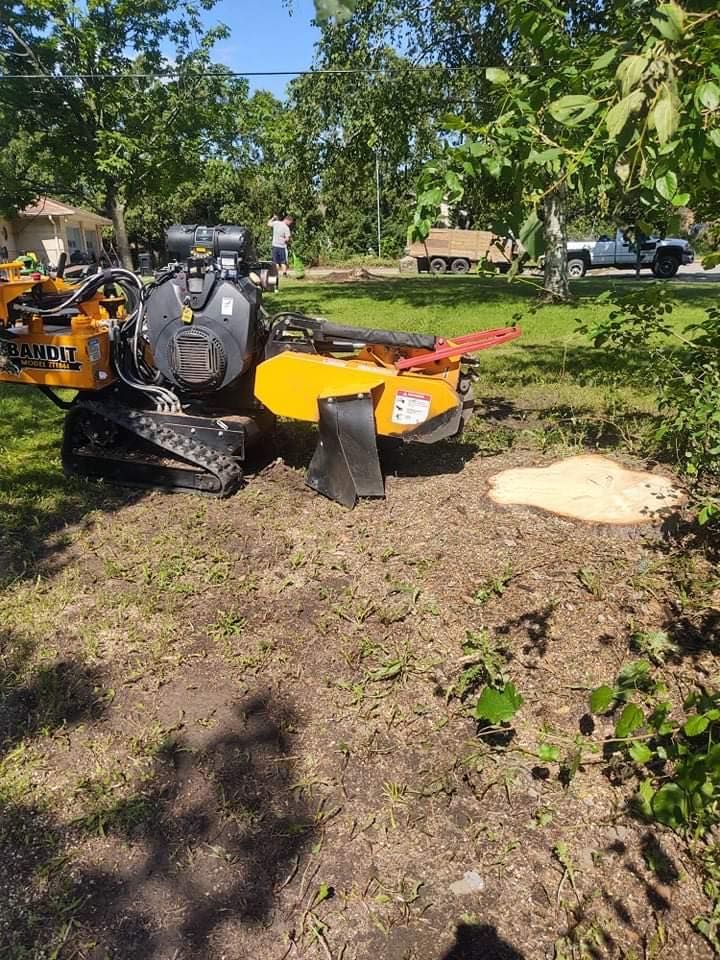 Yellow stump grinder on tracks grinding a tree stump in a yard.