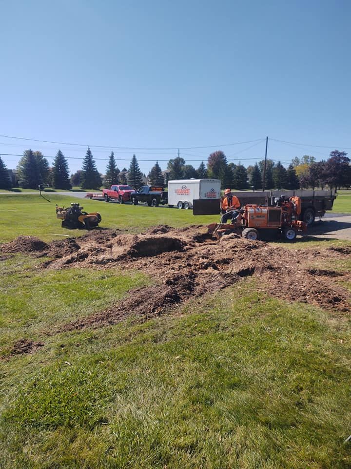 Two workers grinding a tree stump on a grassy area. A truck, trailer, and equipment are nearby. Sunny day.