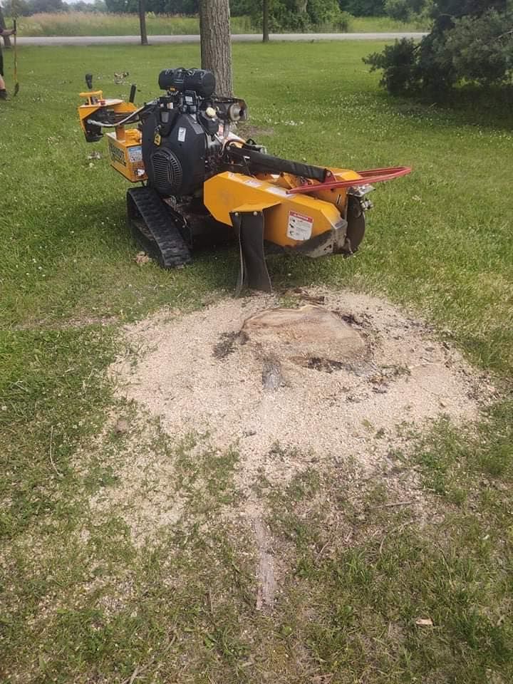 A yellow stump grinder grinding a tree stump in a grassy yard, creating a pile of wood chips.