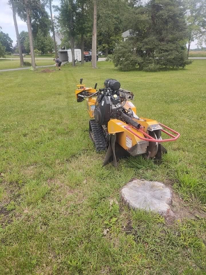 A yellow stump grinder on tracks beside a tree stump in a grassy yard.