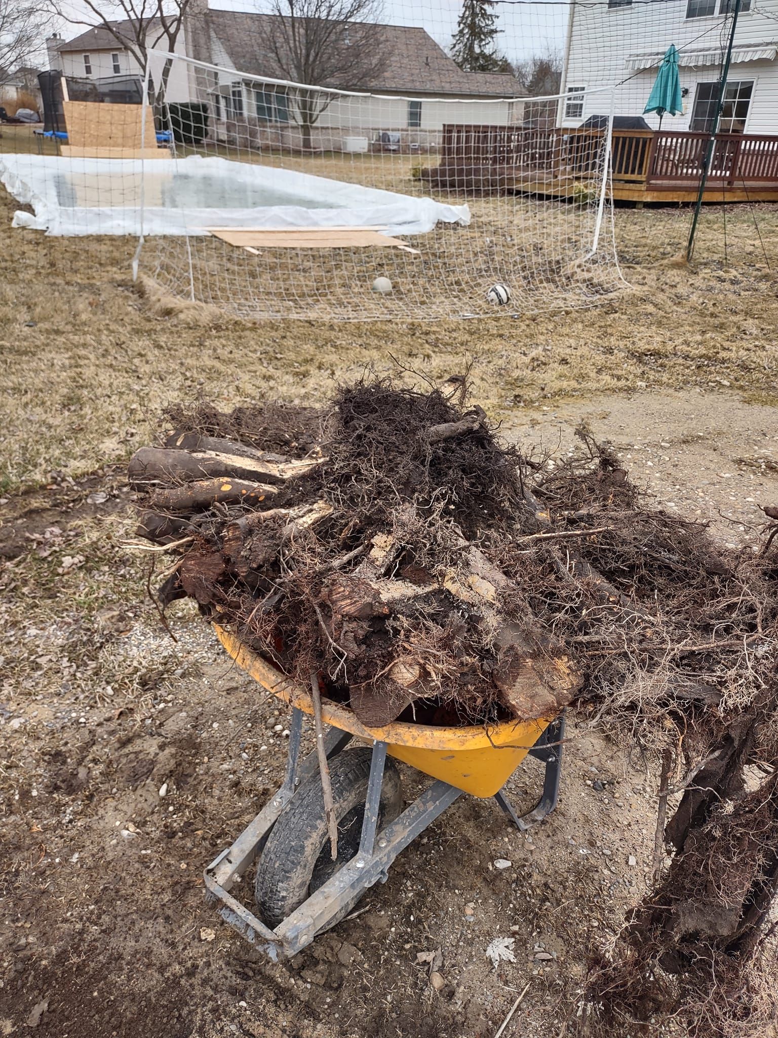 Wheelbarrow filled with dark soil and plant debris in a yard. Wooden structures and a greenhouse are in the background.