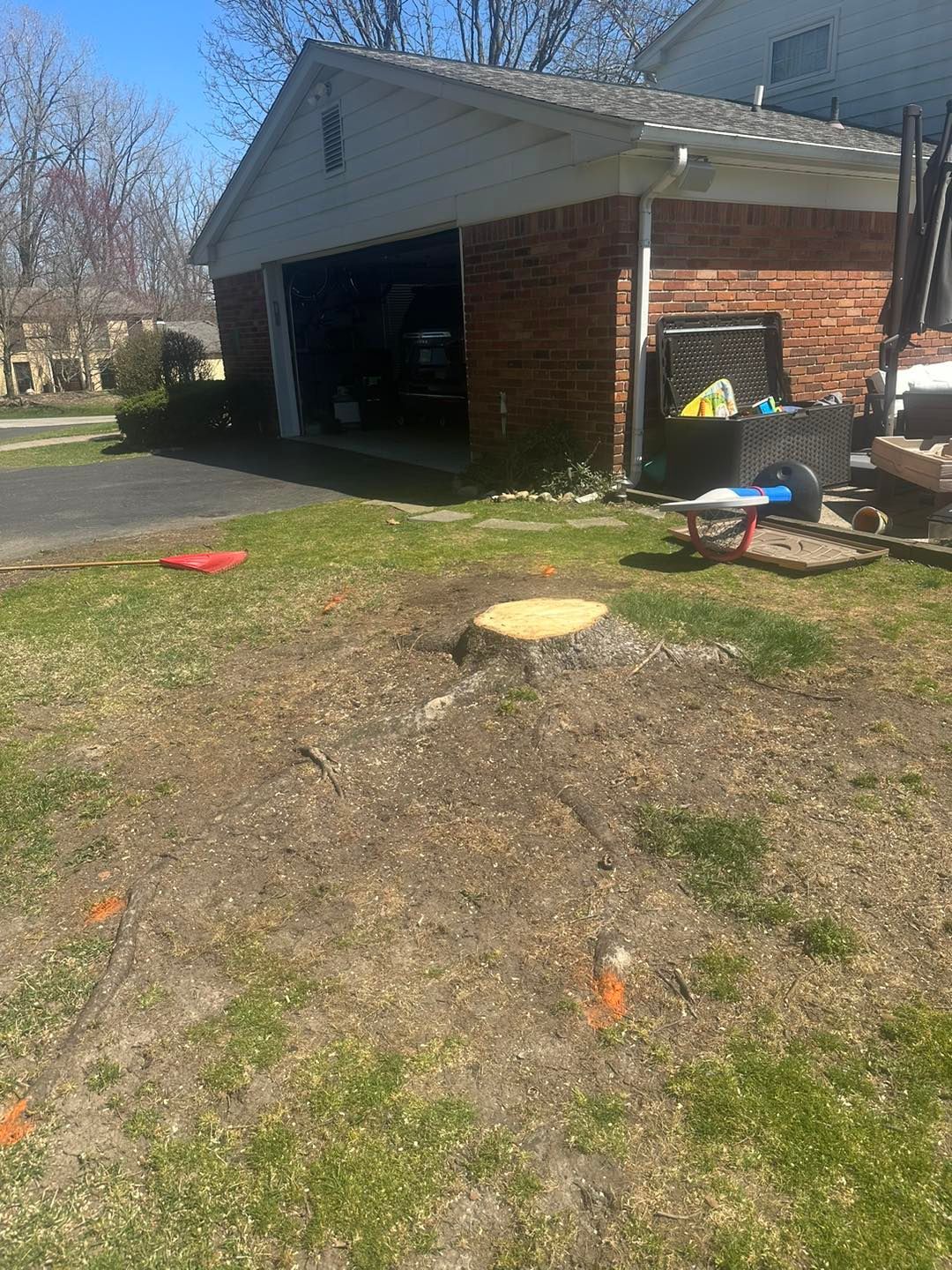 A freshly cut tree stump in a yard with a garage in the background. Orange markers dot the yard.