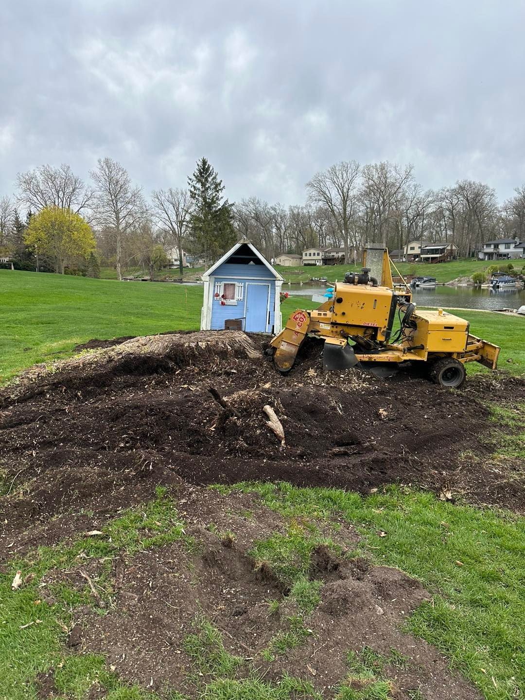 Stump grinder & pile of wood chips next to small blue building on a green lawn. Cloudy sky, trees & water in the background.