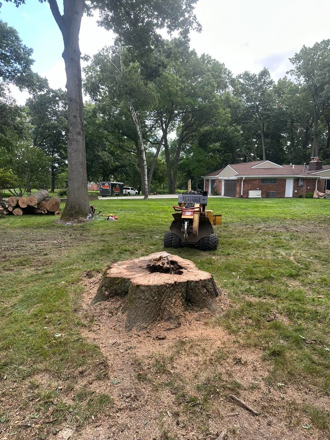 Stump grinding in progress: a machine grinds a tree stump in a grassy yard, with a house and trees in the background.