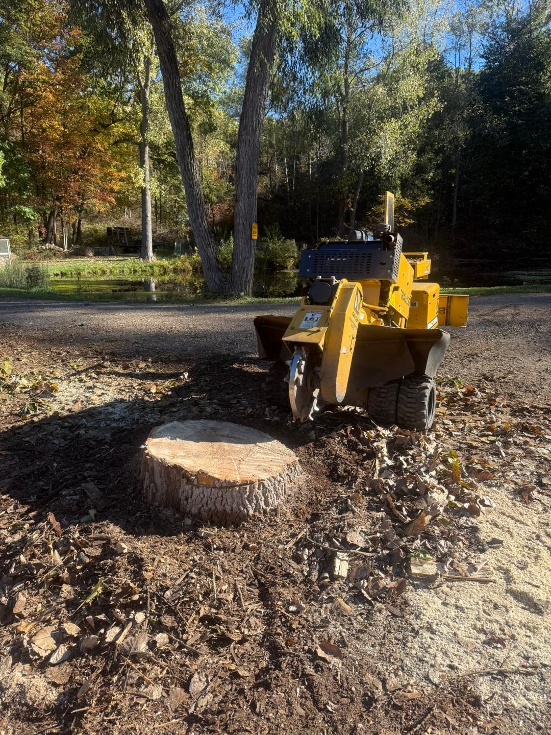 Yellow stump grinder next to a freshly ground tree stump in an outdoor setting.