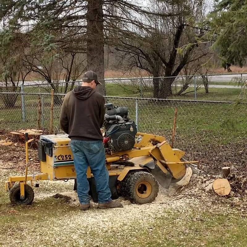 A person operating a stump grinder outdoors, with wood chips visible.