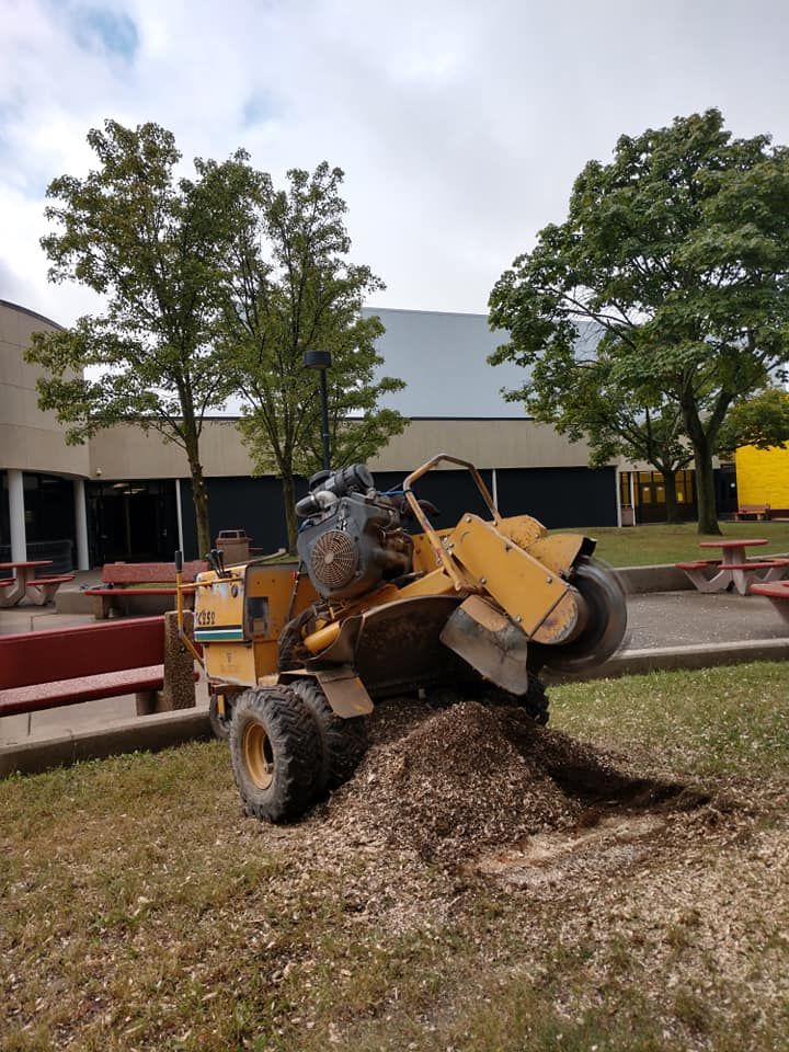 Yellow stump grinder grinding a tree stump in a grassy area near a building with picnic tables.