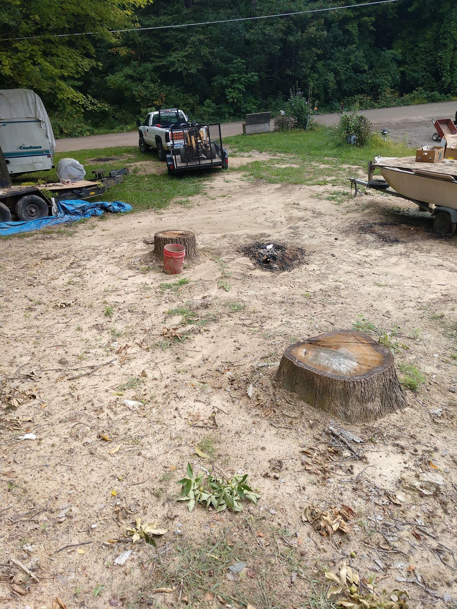 Three tree stumps in a sandy yard, truck with equipment in the background.