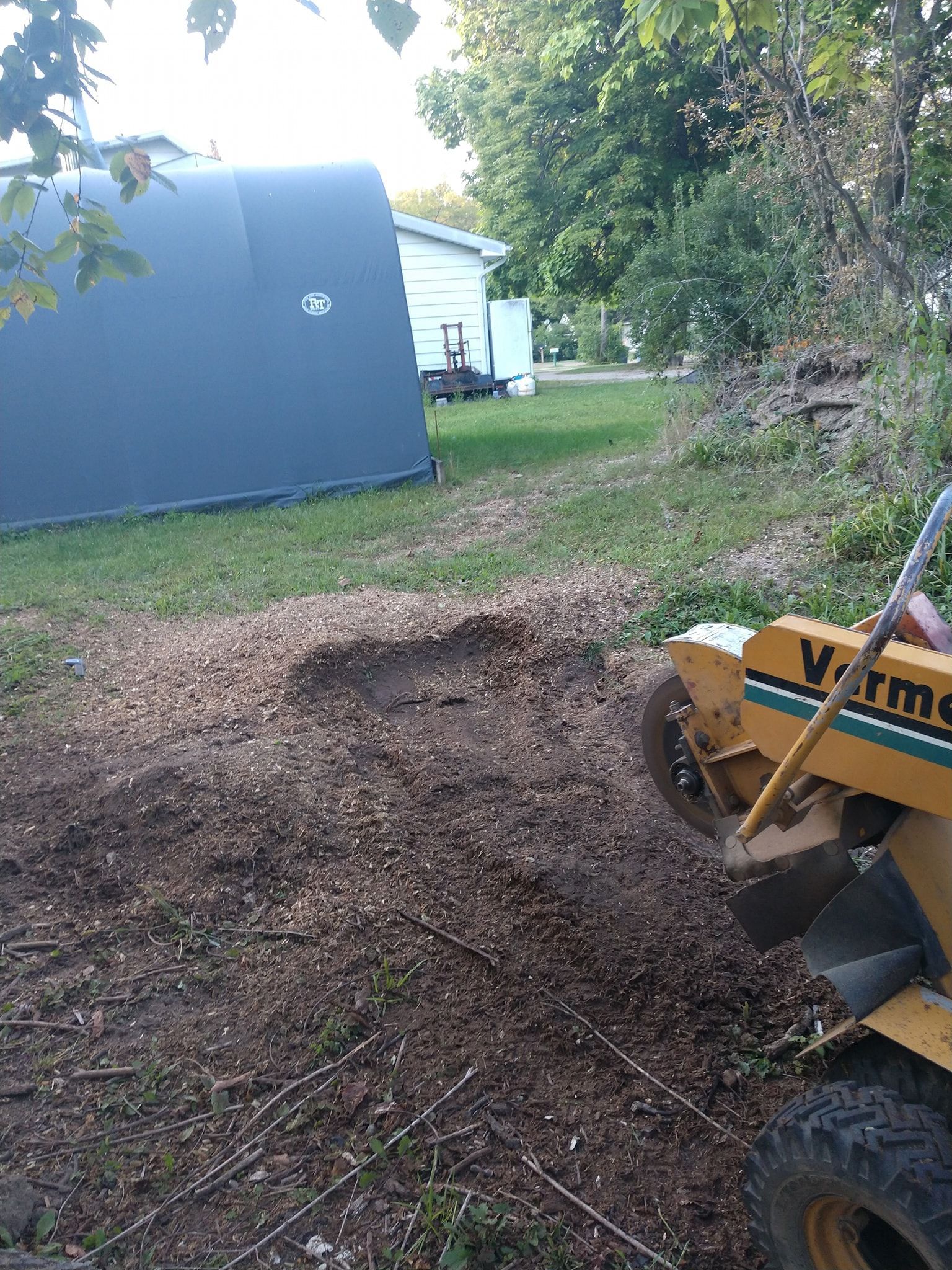 A yellow Vermeer stump grinder grinds a tree stump in a yard with a dark building and white house in the background.