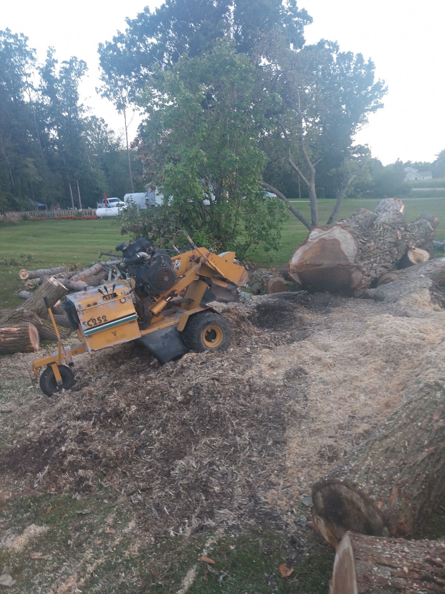 A yellow stump grinder working on a pile of wood chips and logs, in a grassy yard.