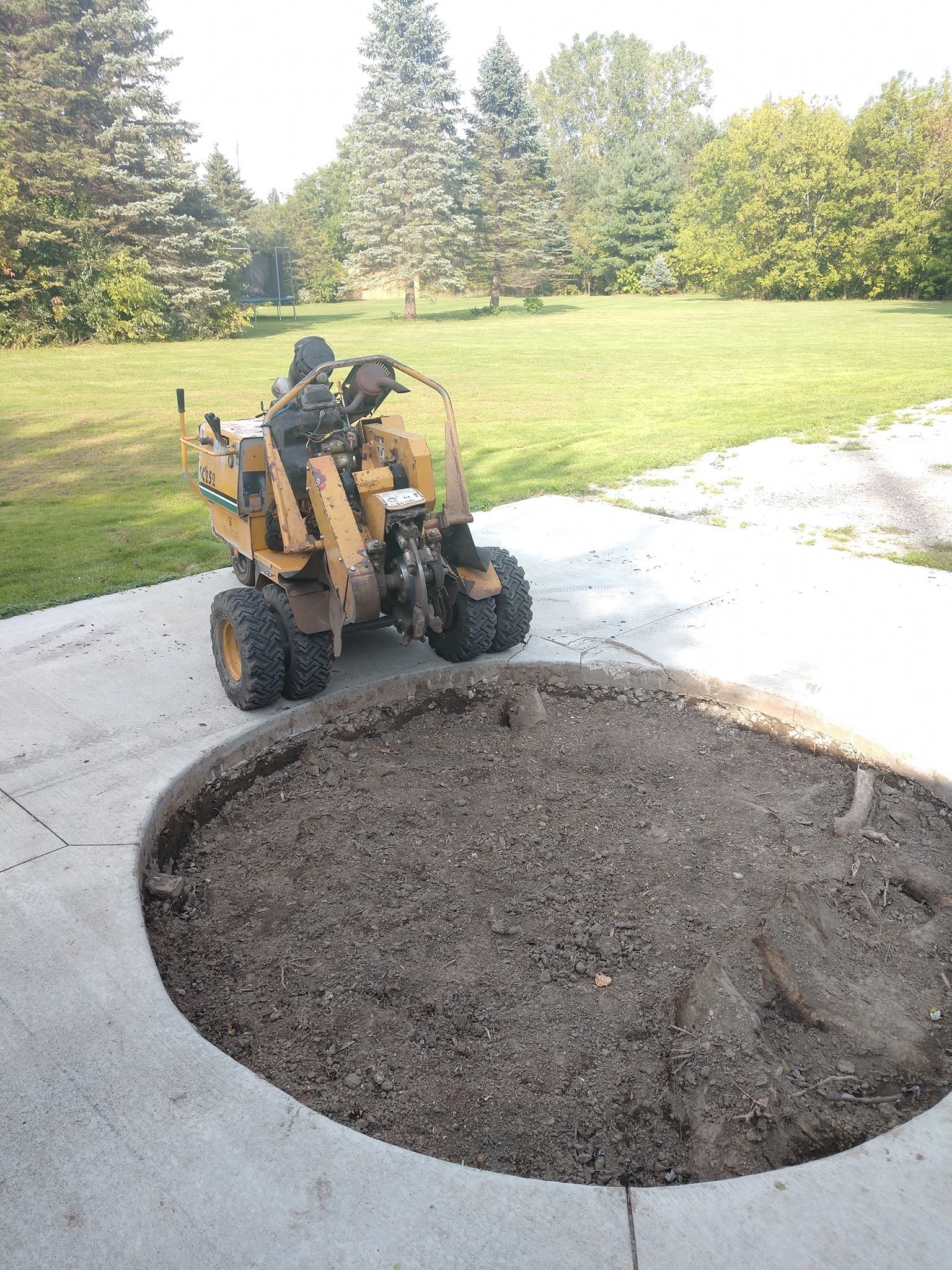 A tree stump grinding machine on a concrete surface, with a pile of wood chips nearby.