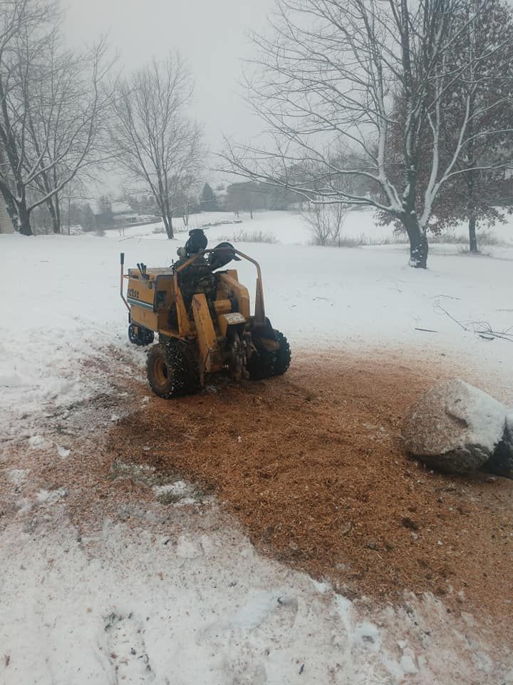 Yellow stump grinder in snowy yard, churning wood chips.
