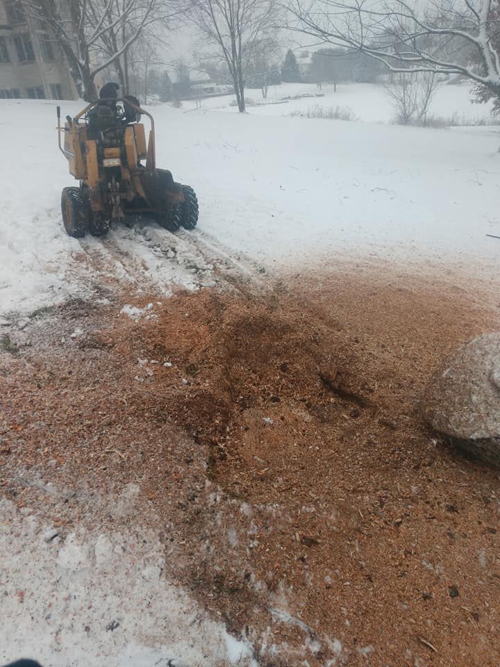 A yellow stump grinder operating in a snowy field, creating a pile of wood chips.
