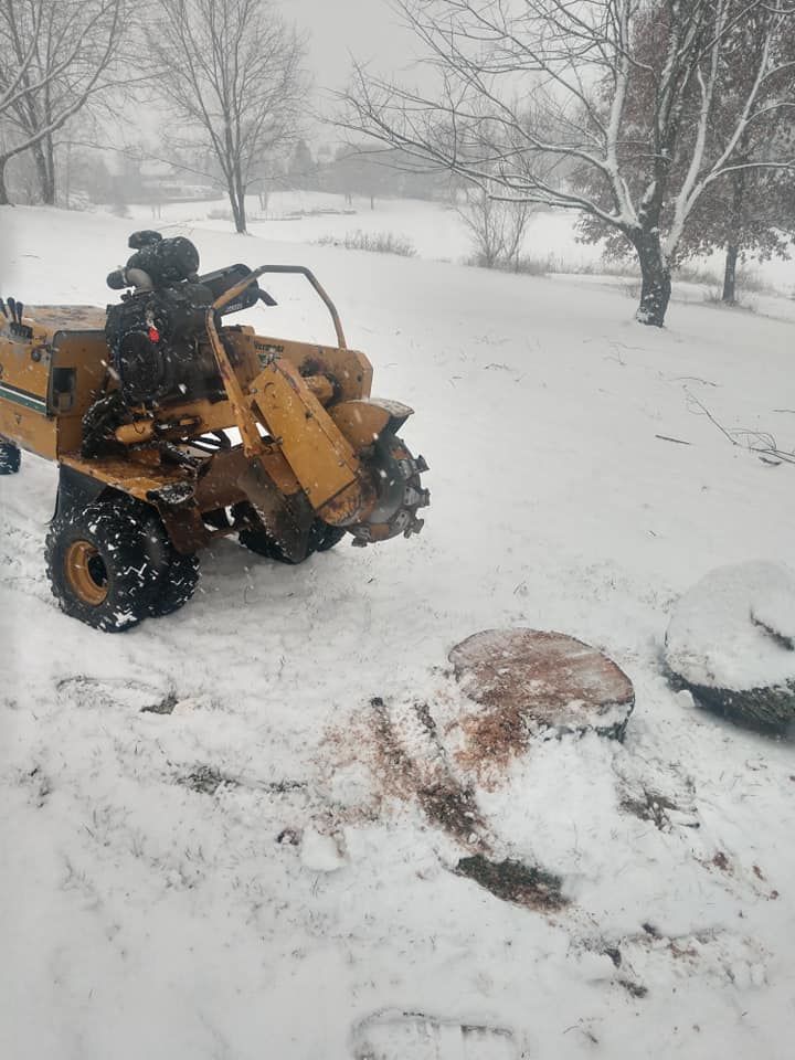 A tree stump grinder working in a snowy yard, removing a tree stump.