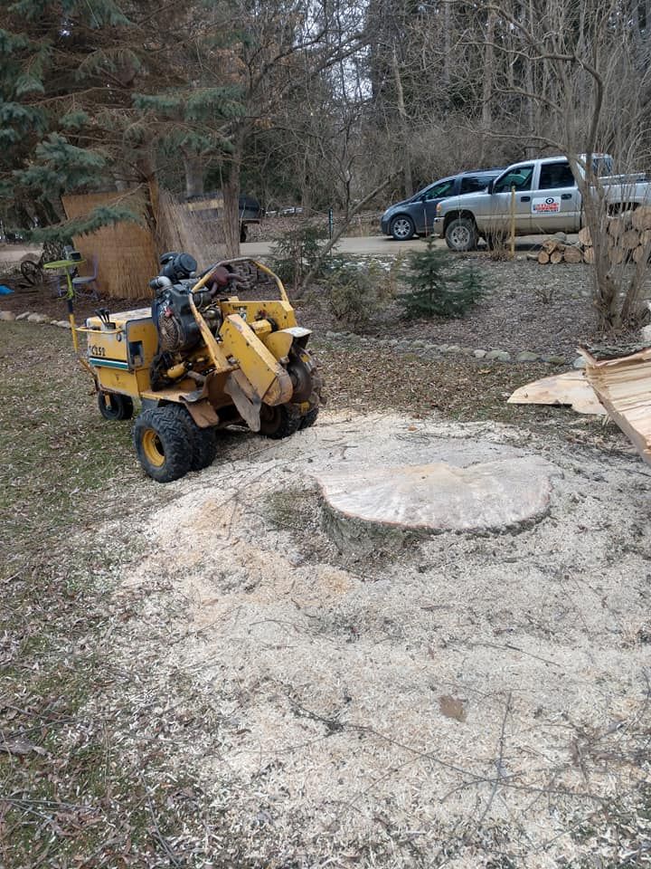 Stump grinder removing a tree stump in a yard, surrounded by wood chips. A person operates the machine.