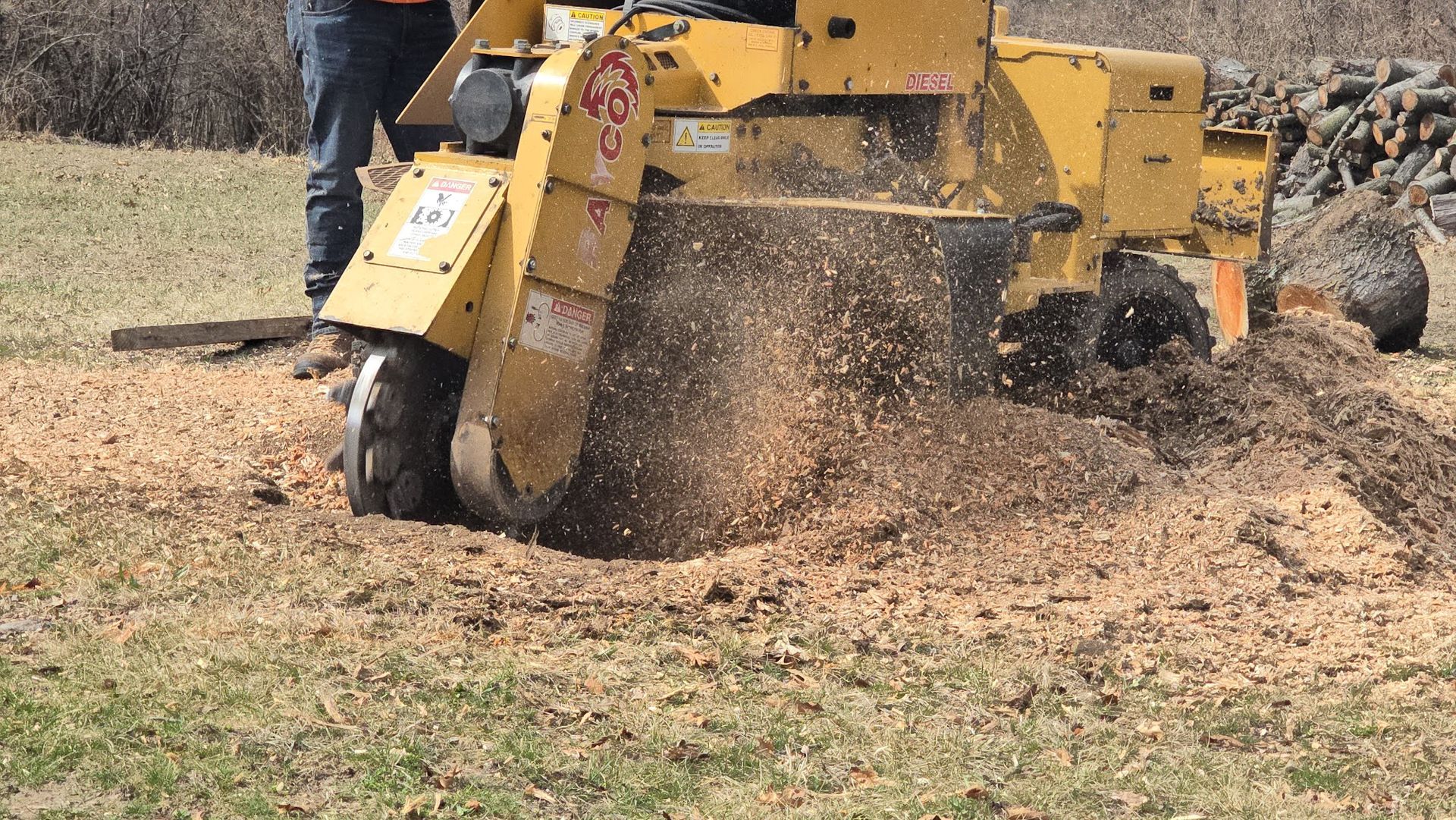A yellow stump grinder machine grinding a tree stump in a grassy area, creating wood chips.