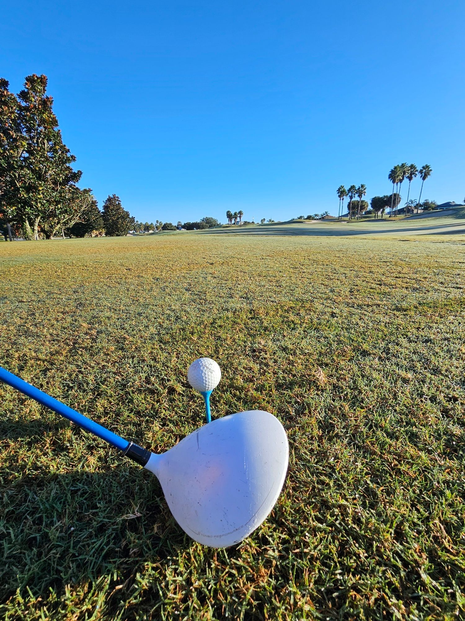 Golf club and ball on tee in a grassy field under a clear blue sky.