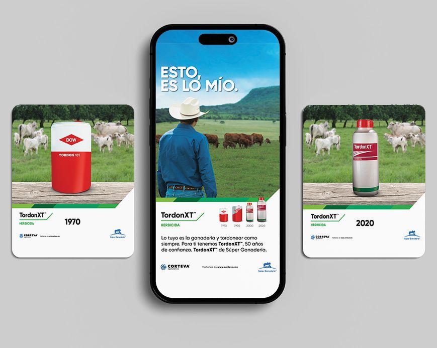 Super Ganadería, Empresa de negocios en la agroindustria