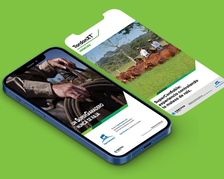 Super Ganadería, Empresa de negocios en la agroindustria