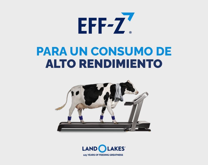 Land o Lakes, Empresa de negocios en la agroindustria