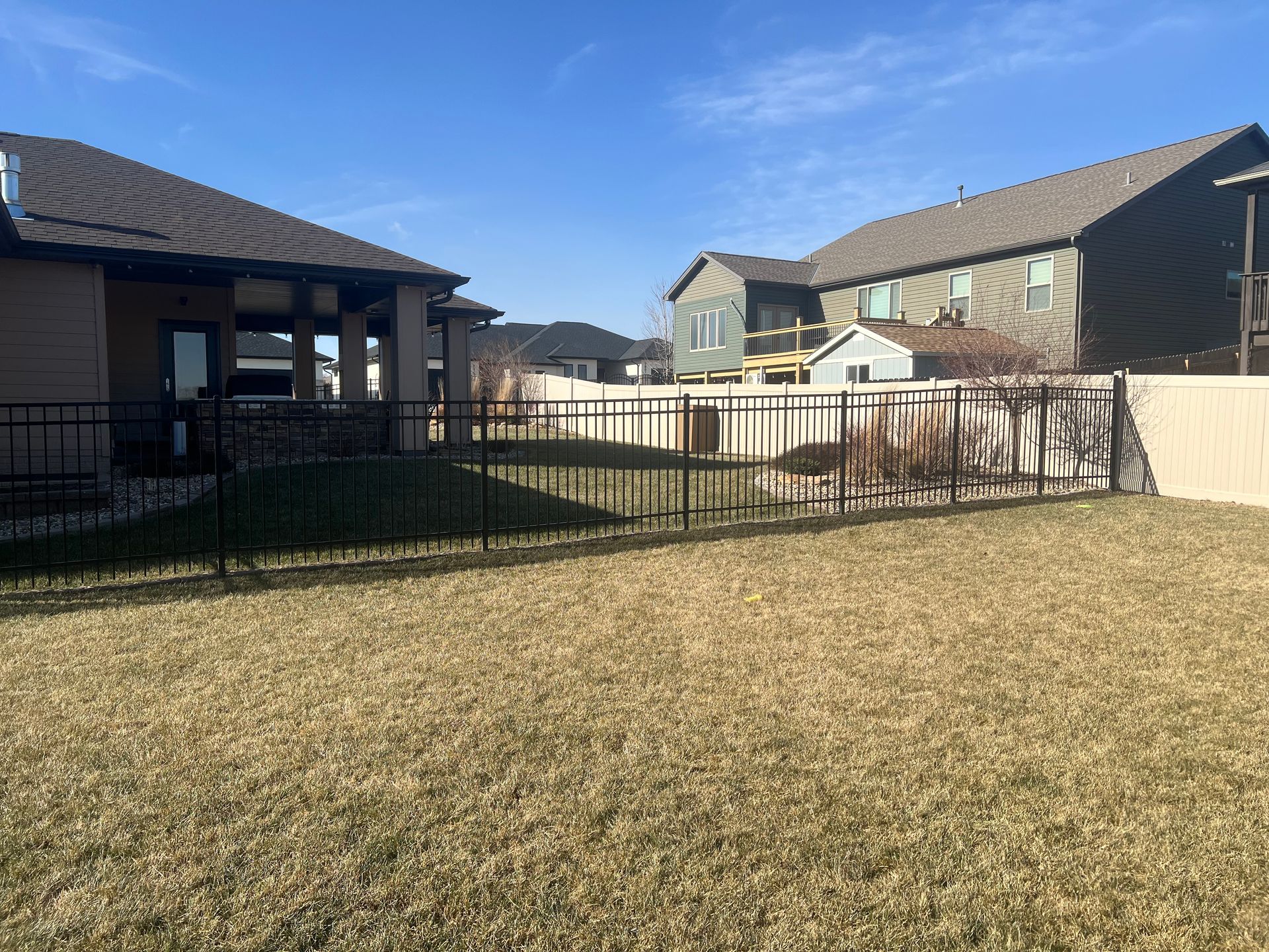 Backyard with brown grass, black metal fence, and beige fence. Two-story houses are in the background, under a blue sky.
