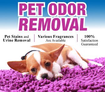 pet odor removal sign with little dog laying on purple rug