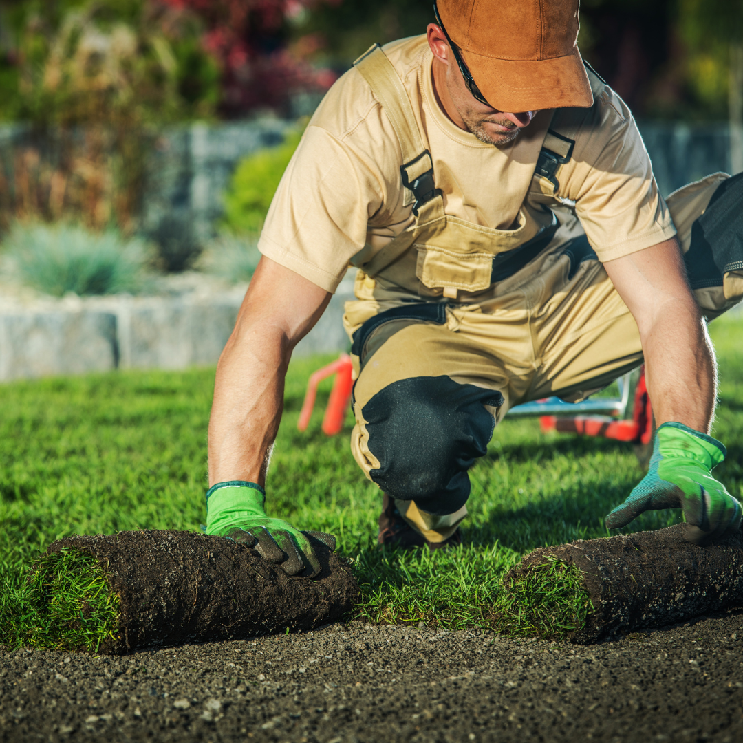 Man kneeling, installing sod in a grassy area, wearing work clothes and gloves.